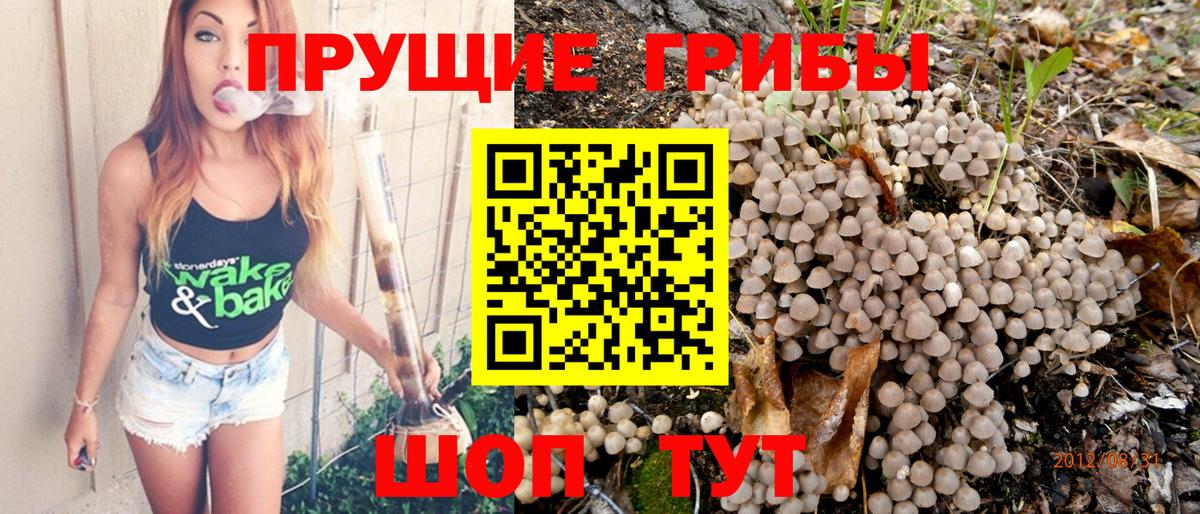 Галлюциногенные грибы Cubensis  Вход с VPN  Псилоцибиновые грибы ЛСД  Углич 
